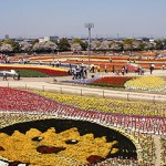 なばなの里・チューリップ祭り