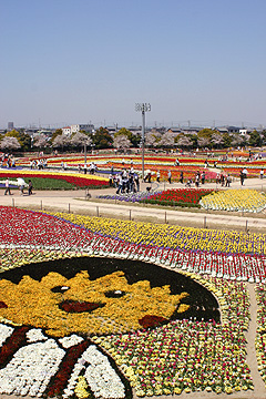 09